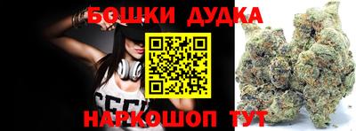 гашик Владимир