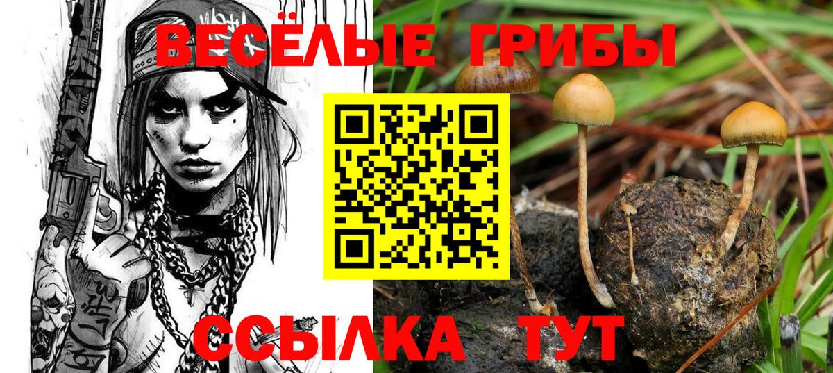Псилоцибиновые грибы ЛСД Гуково