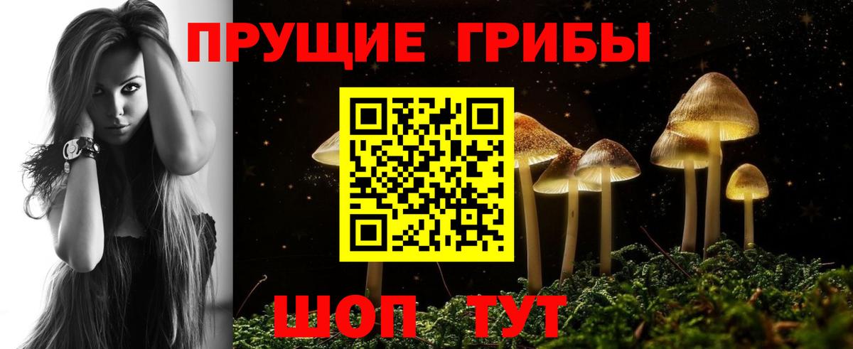где купить наркотик  Вход с VPN  Гуково  Галлюциногенные грибы ЛСД 